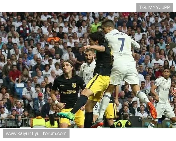 职业玩家怎么玩波胆避坑看泛体育平台极速提现对比